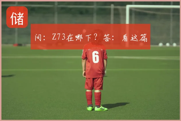 问：Z73在哪下？答：看这篇